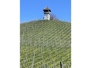 Turm im Weinberg bei Meersburg