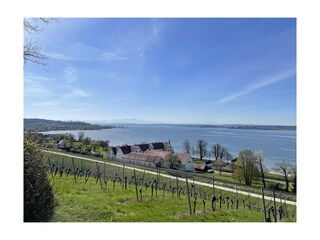 Blick auf Schloss Maurach