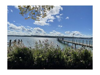 Blick auf den See bei Nußdorf