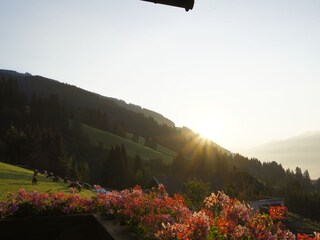 Appartamento per vacanze Mittersill Ambiente 15