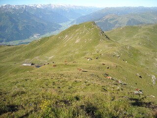 Appartamento per vacanze Mittersill Ambiente 17