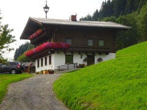 Appartamento per vacanze Brandnerhof 3 - Mittersill - image1