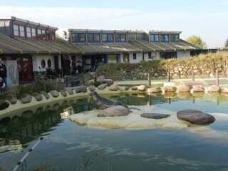 Seal Care Centre Friedrichskoog