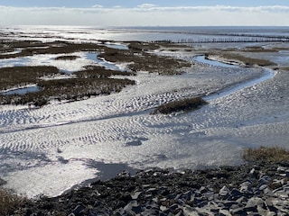 Unesco natural heritage wadden sea