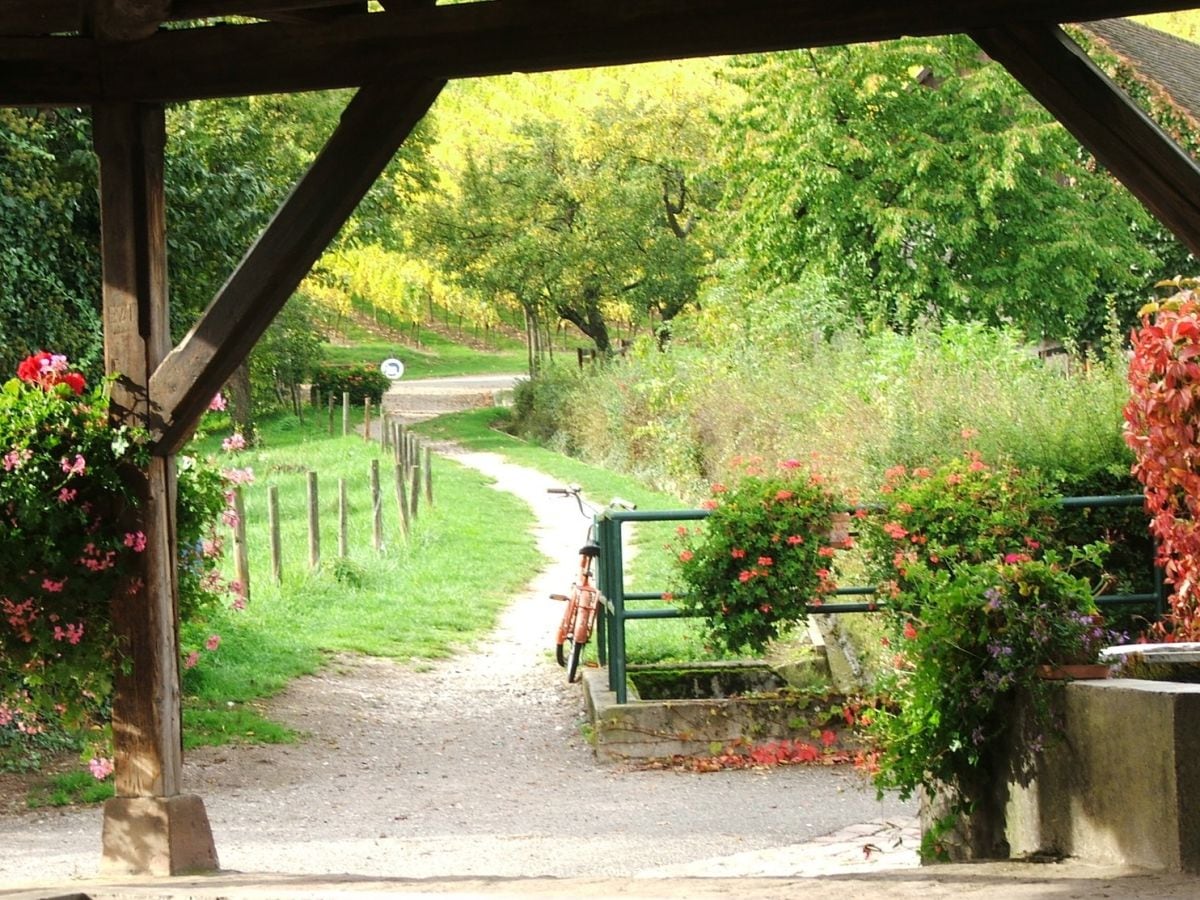 Spaziergänge durch das Dorf