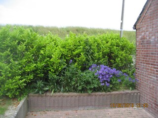 Holiday house Neßmersiel Environment 5