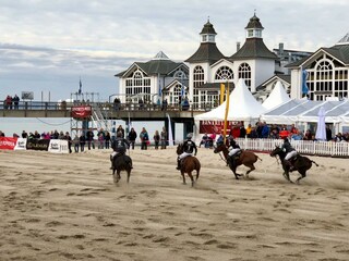 Poloturnier am Nordstrand