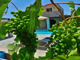 Casa per le vacanze Rethymnon Registrazione all'aperto 18