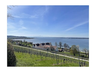 Blick auf Schloss Maurach