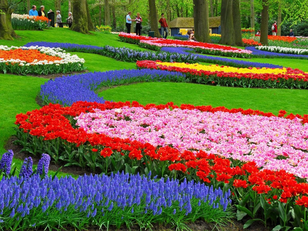 Keukenhof Gartens in Lisse