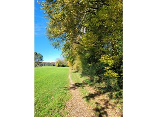 Casa per le vacanze Seewalchen am Attersee Ambiente 29