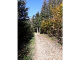 Casa per le vacanze Seewalchen am Attersee Ambiente 31