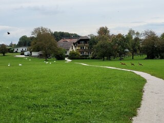 Casa per le vacanze Seewalchen am Attersee Ambiente 33