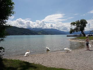 Vakantiehuis Seewalchen am Attersee  26