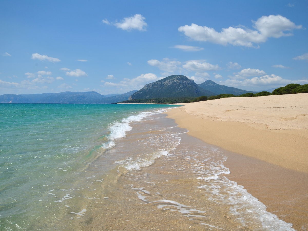 Unser 8km lange Sandstrand gesäumt mit Pinienwäldern