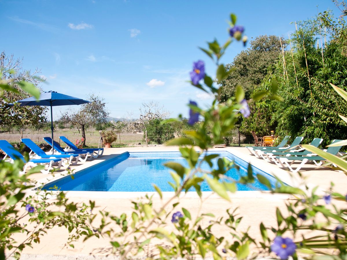 10 x 5 m großer Pool mit Treppeneinstieg