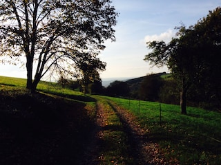 Via Monte Preso - Wanderweg