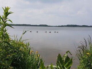 Casa per le vacanze Callantsoog Ambiente 19