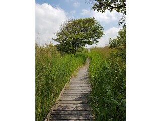 Vakantiehuis Callantsoog Omgeving 20