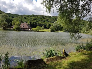 Riedener Waldsee m. Eifler Seehütte; Waldsee-Traumpfad