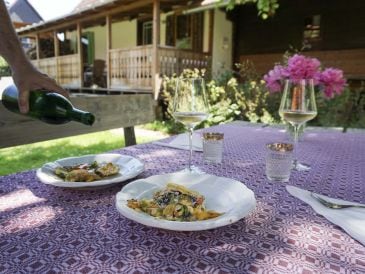 Ferienhaus Raunschuster