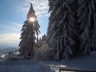 Unser "Wintergarten"