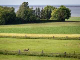 Ferienhaus Boiensdorf Umgebung 36