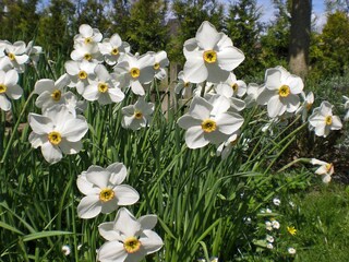 Casa de vacaciones Flensburger Förde Grabación al aire libre 8