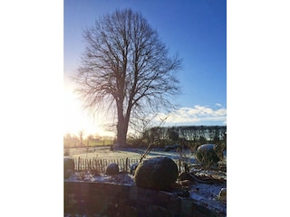 Casa de vacaciones Flensburger Förde Grabación al aire libre 18