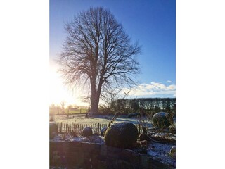 Casa per le vacanze Flensburger Förde Registrazione all'aperto 18