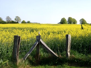 Casa de vacaciones Flensburger Förde Grabación al aire libre 19