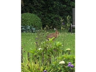 Casa per le vacanze Flensburger Förde Registrazione all'aperto 13