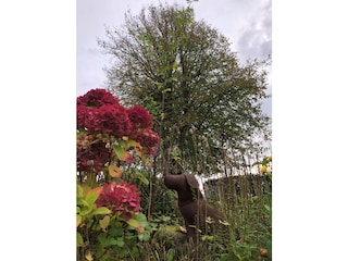 Casa de vacaciones Flensburger Förde Grabación al aire libre 10
