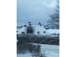 Casa de vacaciones Flensburger Förde Grabación al aire libre 17