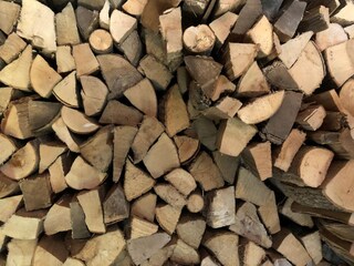 Casa per le vacanze Flensburger Förde Registrazione all'aperto 15