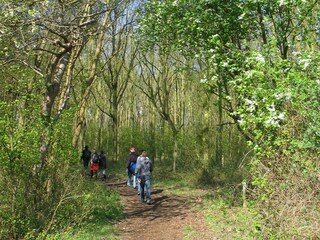 Bungalow Renesse Ambiente 17
