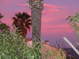 Casa per le vacanze Porto Cristo Registrazione all'aperto 9