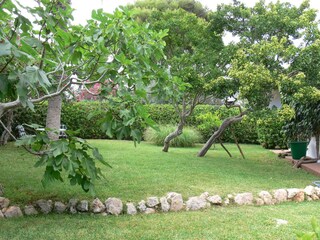 Casa per le vacanze Porto Cristo Registrazione all'aperto 8