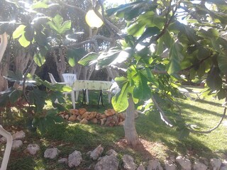 Casa per le vacanze Porto Cristo Registrazione all'aperto 10