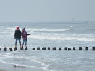 Casa per le vacanze Cadzand-Bad Ambiente 32