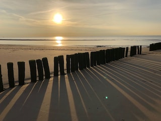 Holiday house Nieuwvliet Environment 33