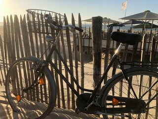 Vakantiehuis Nieuwvliet Omgeving 38