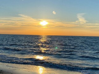 Vakantiehuis Nieuwvliet Omgeving 41