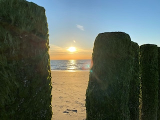 Holiday house Nieuwvliet Environment 42