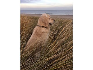 Vakantiehuis Nieuwvliet Omgeving 32