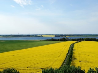 Ferienwohnung Waase Umgebung 33