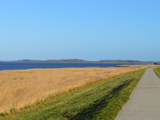 Deichradweg