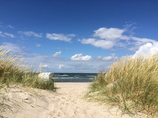 Ostseestimmung