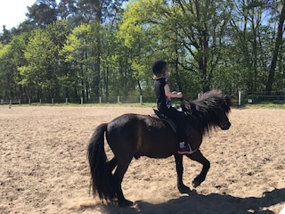 Holiday house Lenz Environment 28