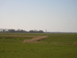 Blick vom Ferienhaus auf`s freie Feld